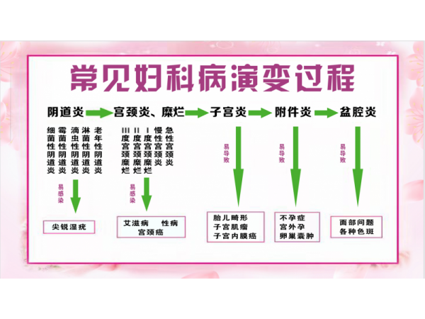 吕易圣妇洁净中药包